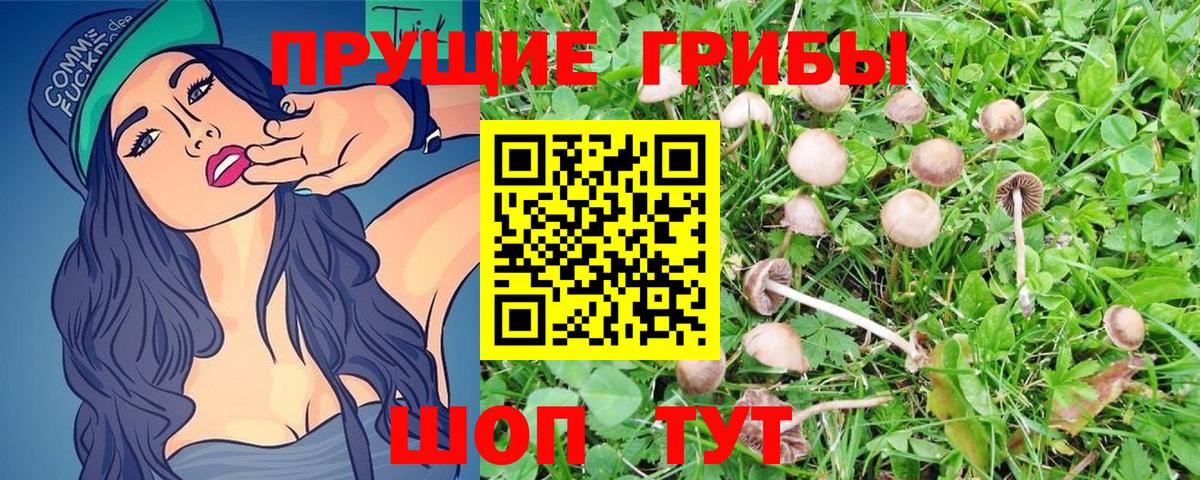 Саров  Галлюциногенные грибы Magic Shrooms  Вход с VPN 