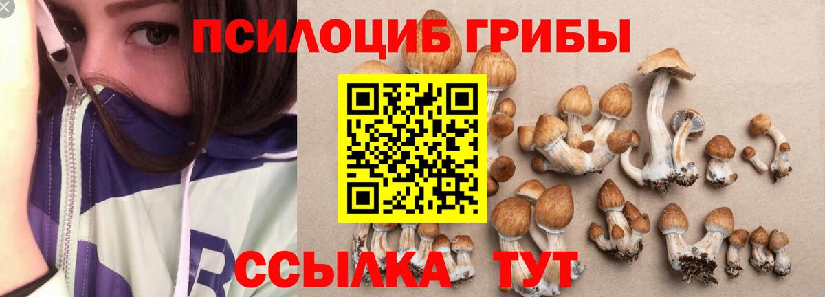 Псилоцибиновые грибы GOLDEN TEACHER Саров